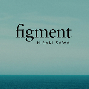 Hiraki Sawa. figment
