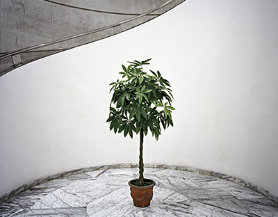 Untitled. Diebenkorn, 2009. Pamplona, Navarre. Lamba prints - Chromogenic prints / C prints