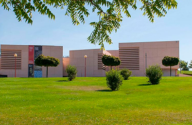 Social responsibility